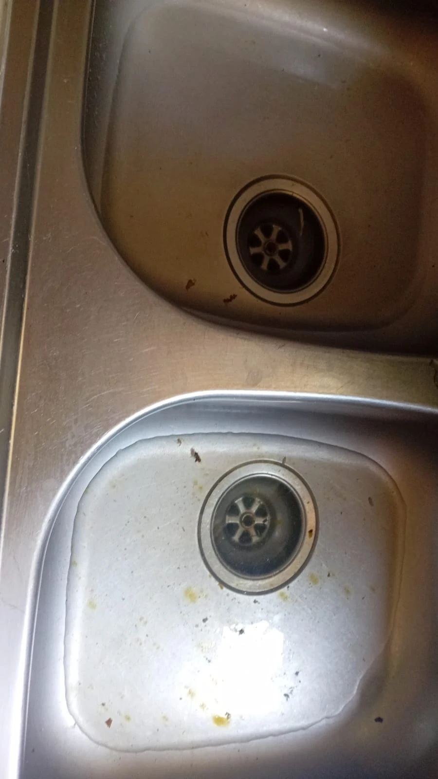 Double kitchen sink with standing water showing a blocked kitchen drain.